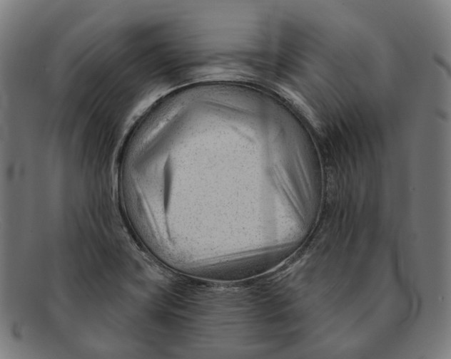 X0000091471419200709131744