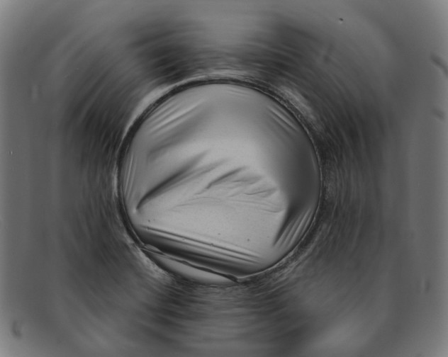 X0000091471420200709131744