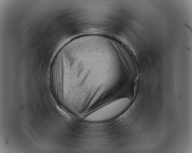 X0000091471421200709131744