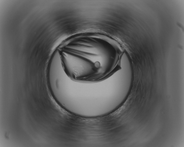 X0000091471422200709131744