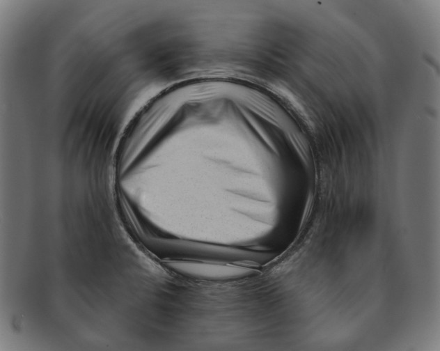 X0000091471424200709131744