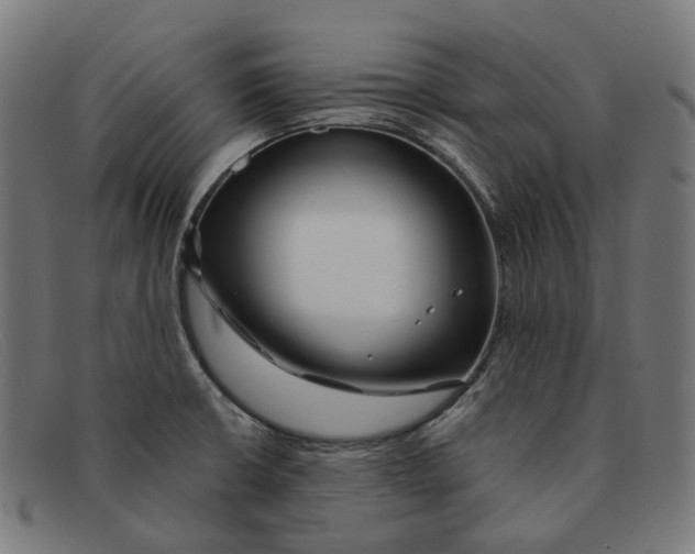 X0000091471426200709131744