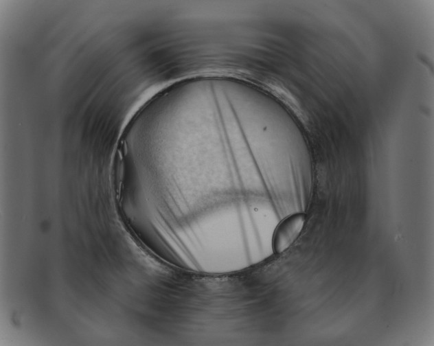 X0000091471428200709131744