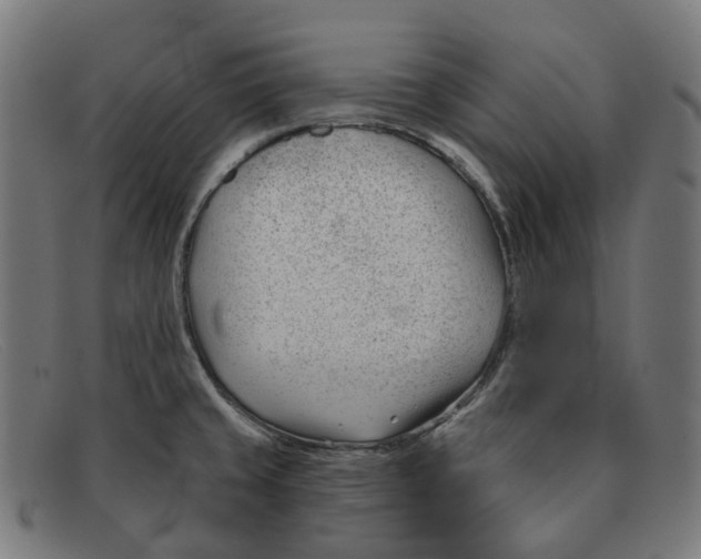 X0000091471429200709131744