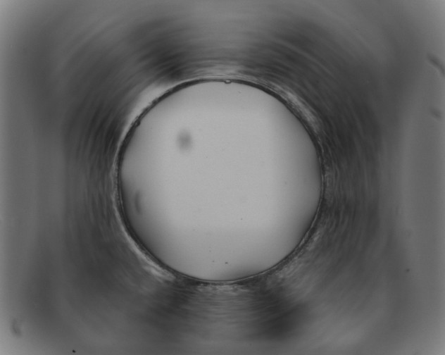 X0000091471432200709131744