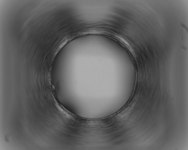 X0000091471433200709131744