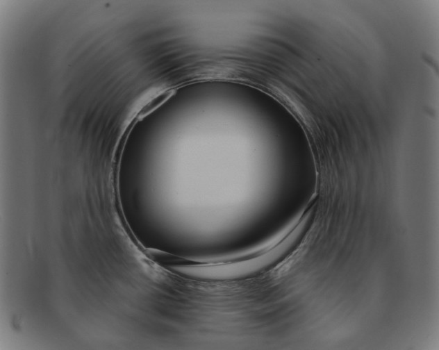 X0000091471434200709131744