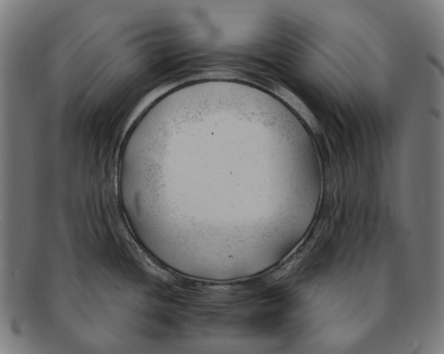 X0000091471436200709131744