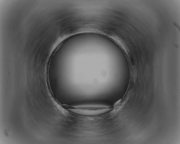 X0000091471438200709131744