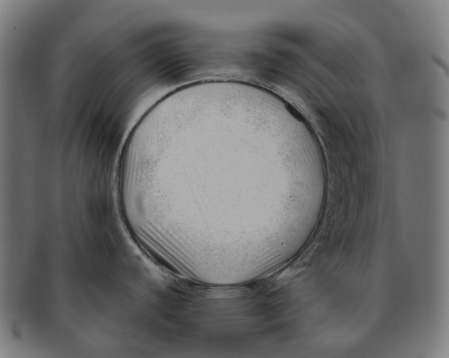 X0000091471440200709131744