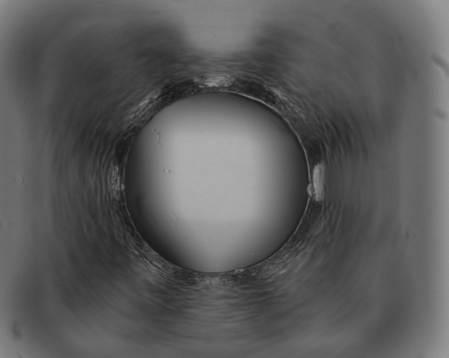 X0000091471443200709131743