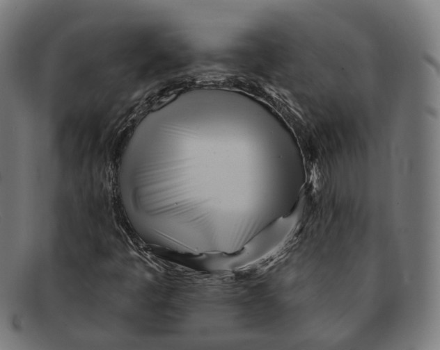 X0000091471445200709131743