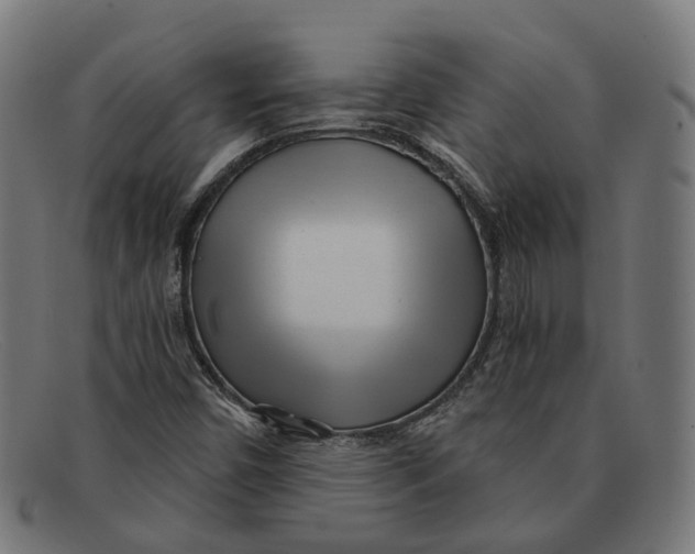 X0000091471450200709131743