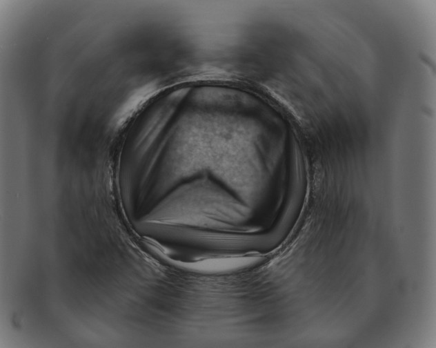 X0000091471455200709131743