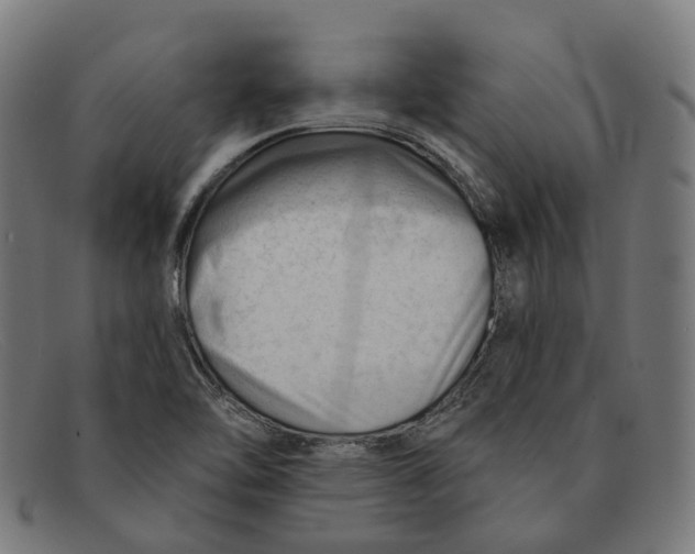 X0000091471462200709131743