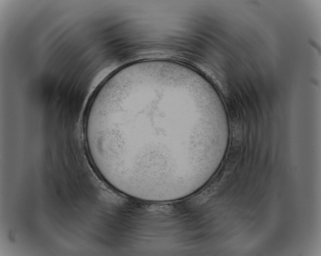 X0000091471466200709131743