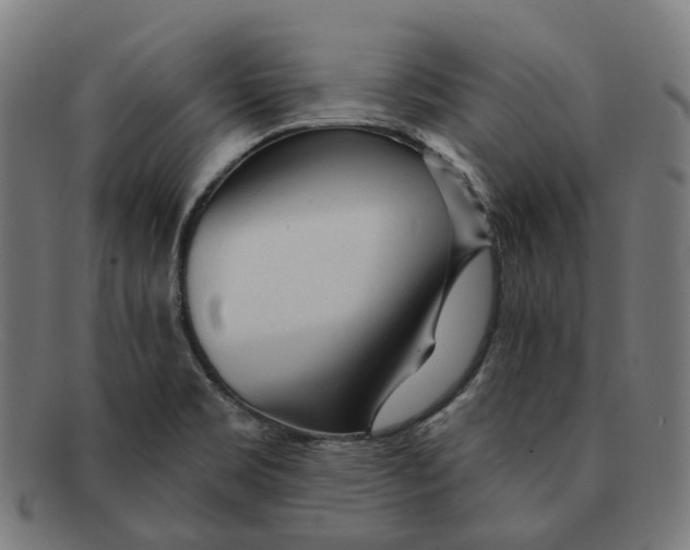 X0000091471469200709131743