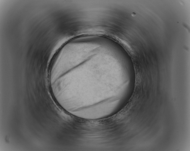 X0000091471470200709131743