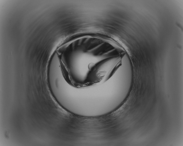 X0000091471477200709131743