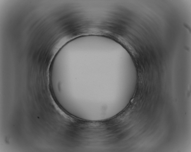 X0000091471479200709131743