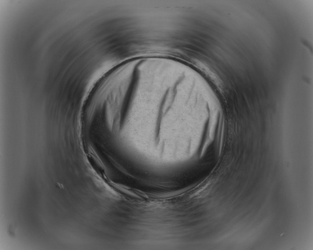 X0000091471480200709131743