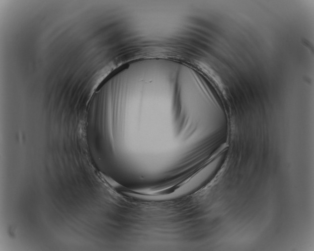 X0000091471481200709131743