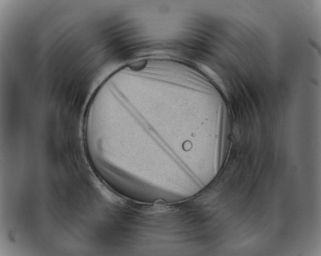 X0000091471482200709131743