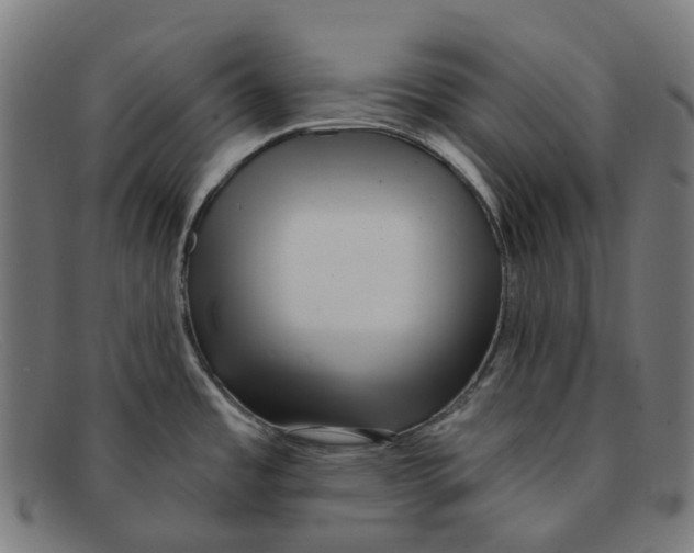 X0000091471485200709131743