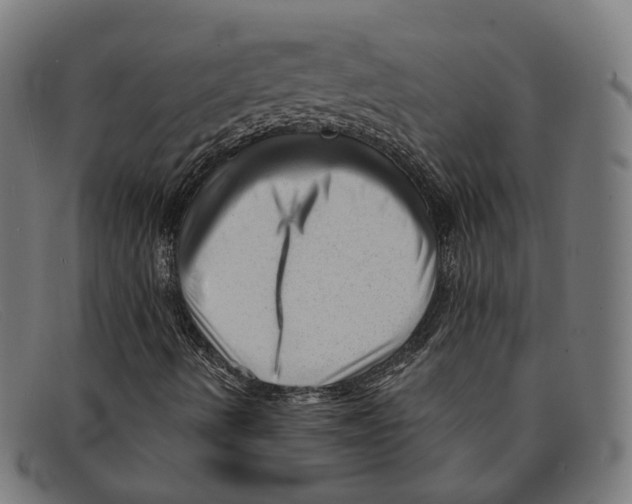 X0000091471490200709131742