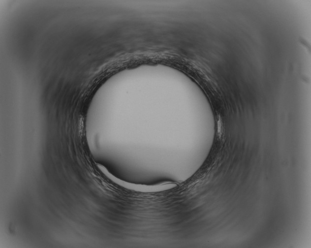 X0000091471492200709131742