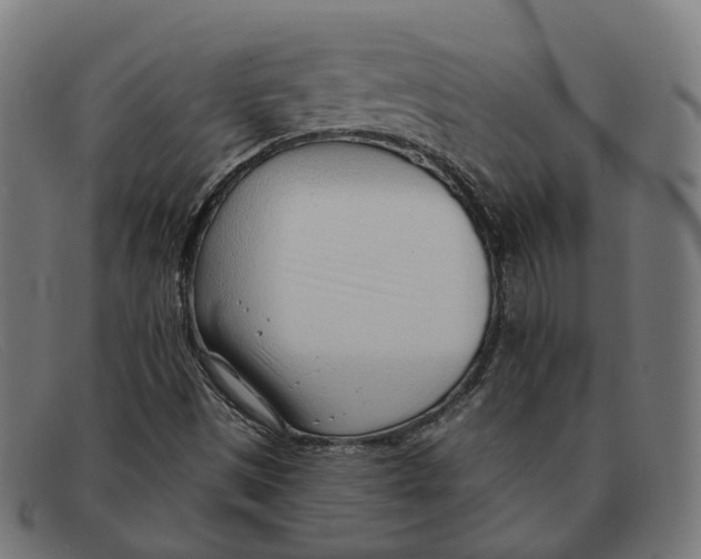 X0000091471497200709131742