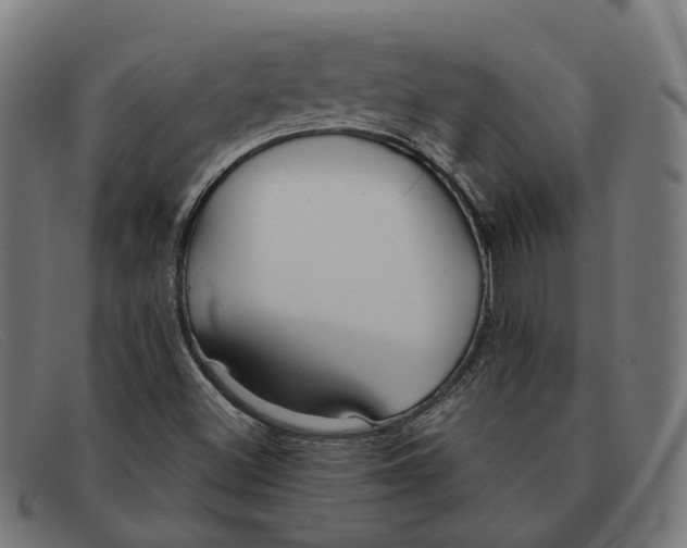 X0000091471500200709131742