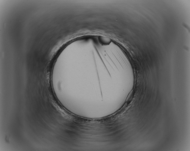 X0000091471503200709131742