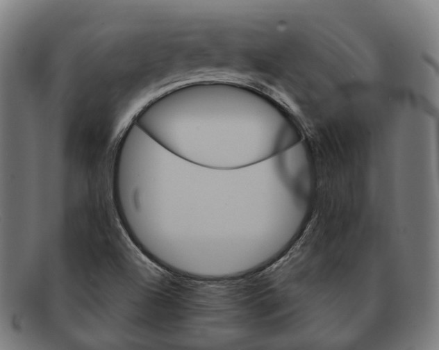 X0000091471504200709131742