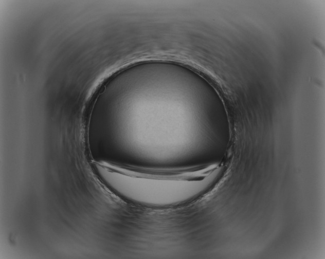 X0000091471506200709131742