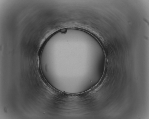 X0000091471509200709131743