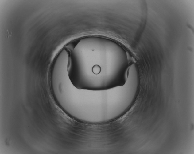 X0000091471510200709131743