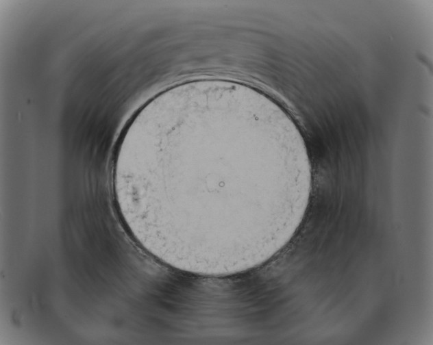 X0000091471514200709131743