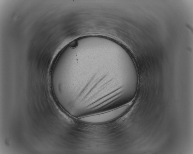 X0000091471517200709131743