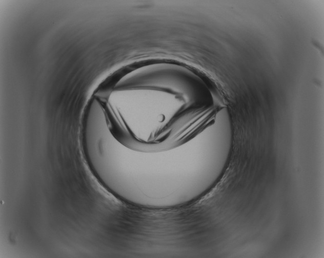 X0000091471518200709131743