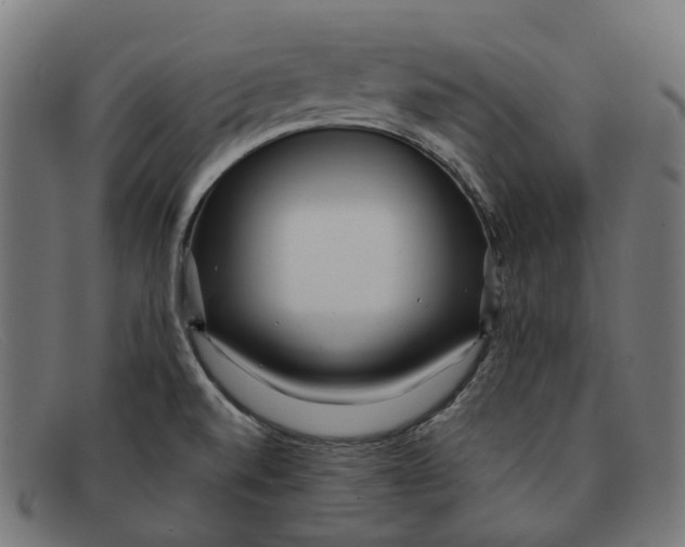 X0000091471520200709131743