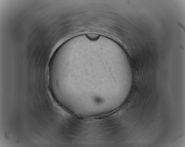 X0000091471522200709131743