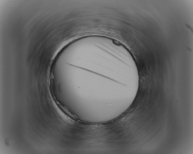 X0000091471523200709131743