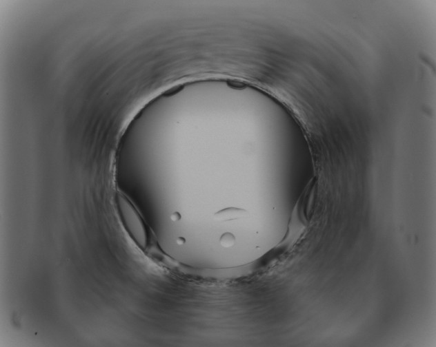 X0000091471524200709131743