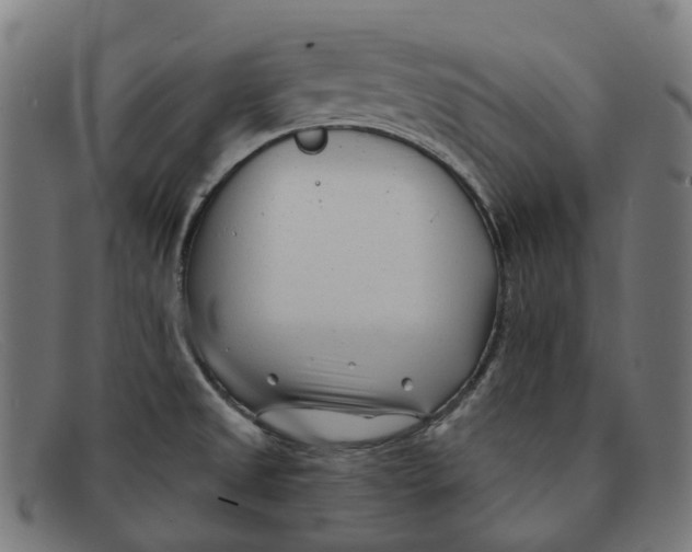 X0000091471525200709131743