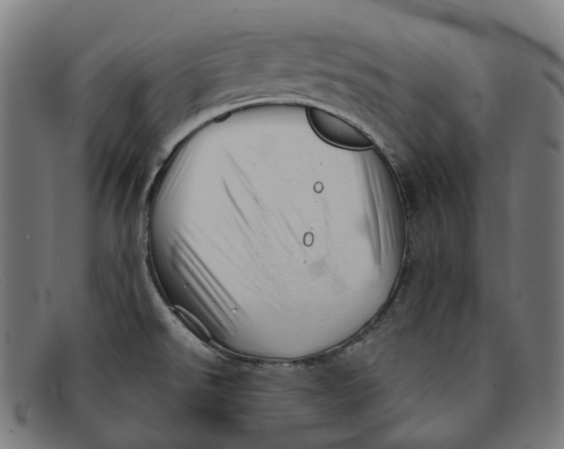 X0000091471526200709131743