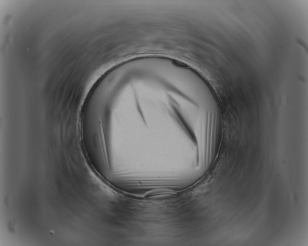 X0000091471527200709131743