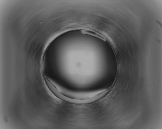 X0000091471528200709131743