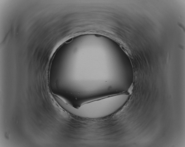 X0000091471530200709131743