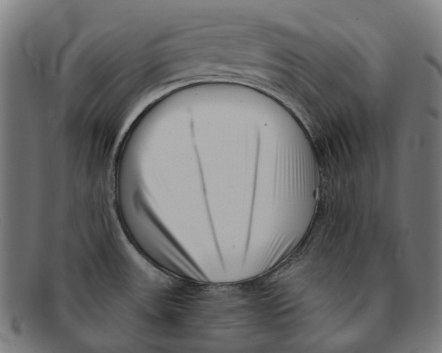 X0000091471531200709131743